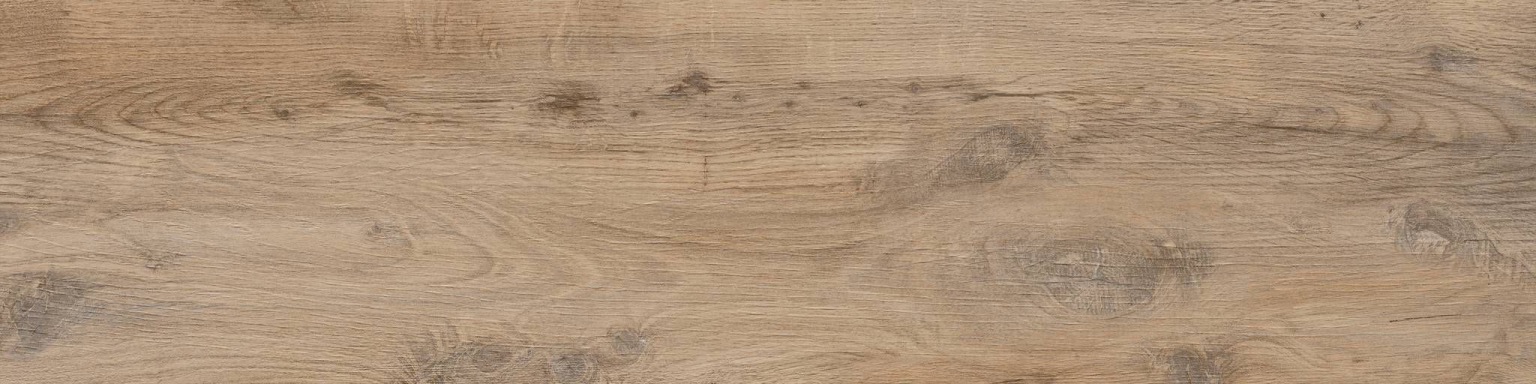 Nebraska Elm 20 mm