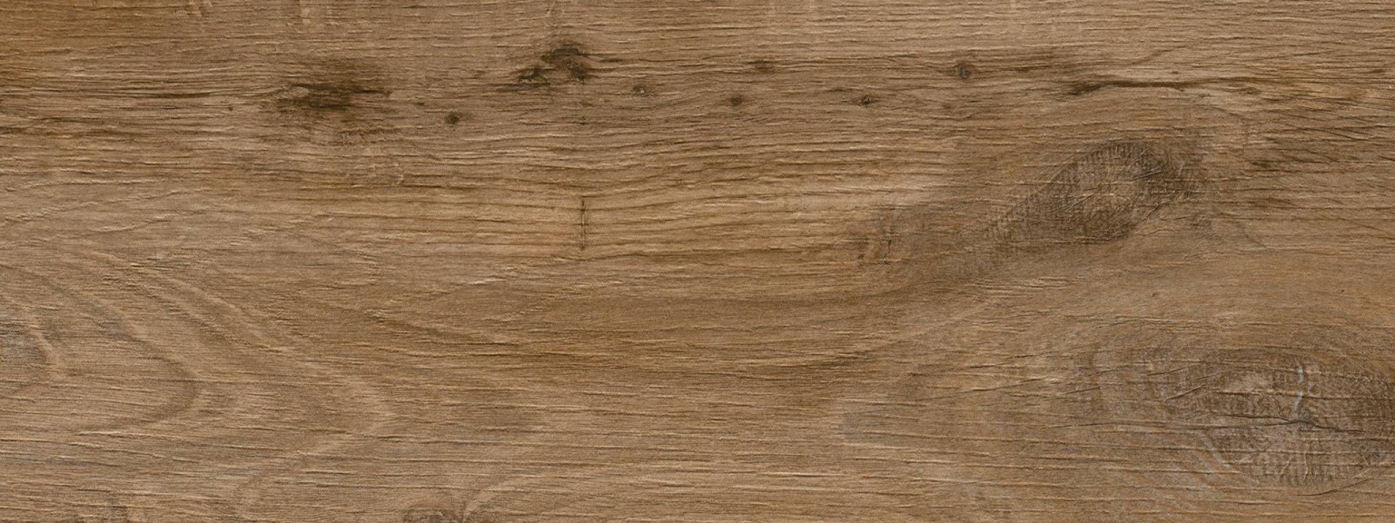 Nebraska Oak